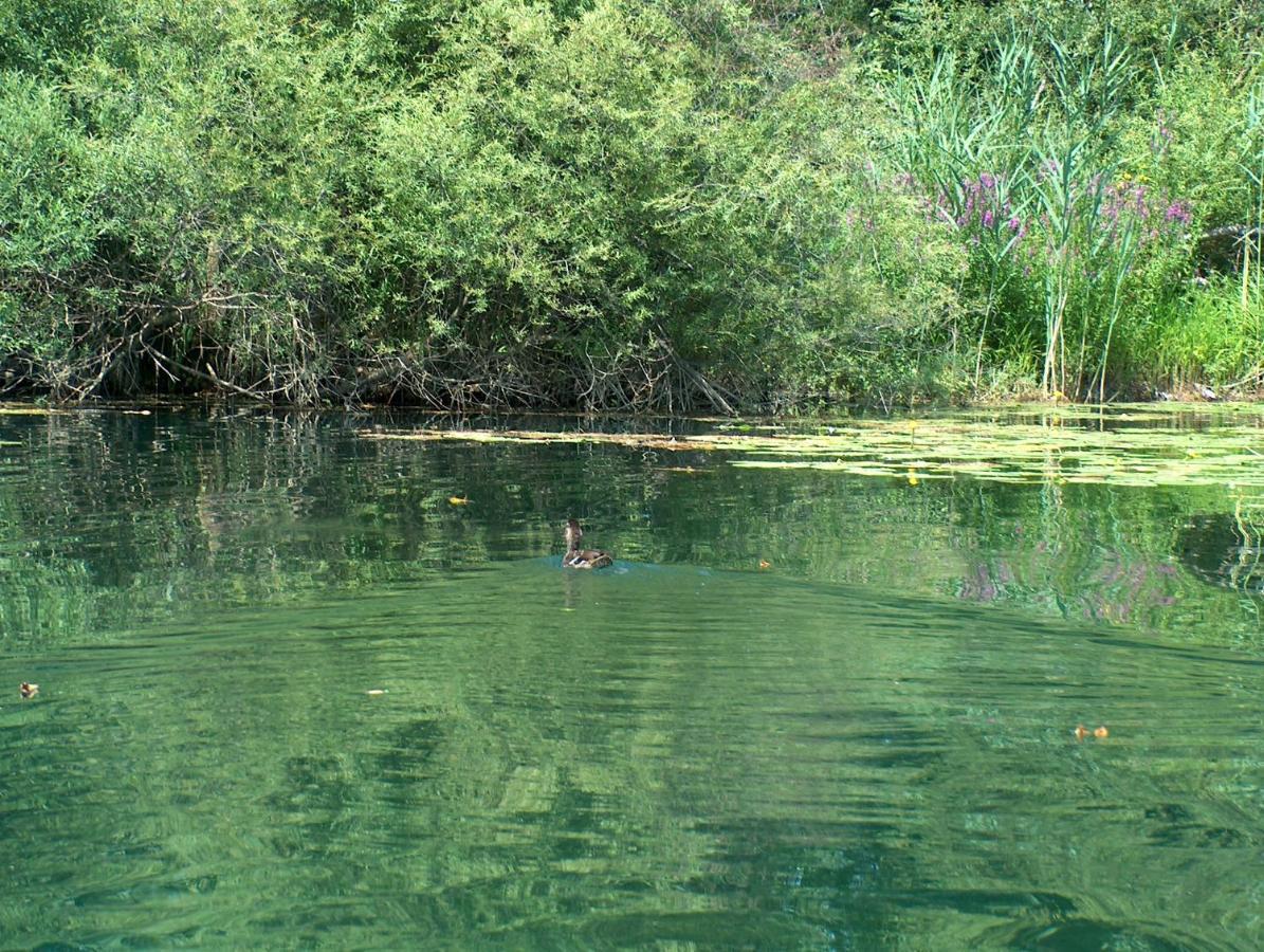 Mreznicki Kutak Daire Duga Resa Dış mekan fotoğraf